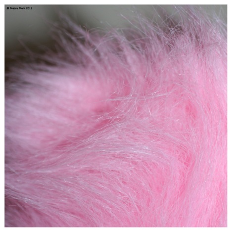 Day 100 - Pink Fluffy